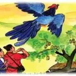 an-khe-tra-vang-622808