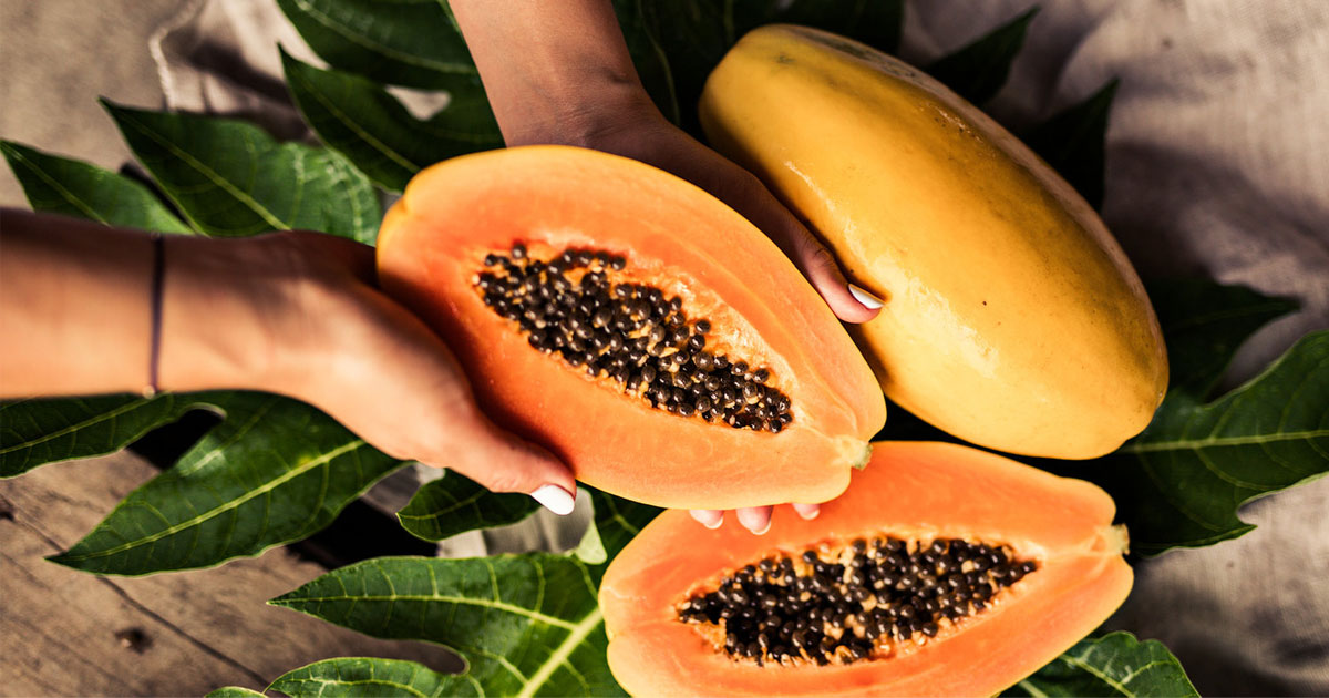 Ăn Đu Đủ Xanh Khi Mang Thai Có Nên Không? 3 ăn đu đủ xanh khi mang thai có tốt không