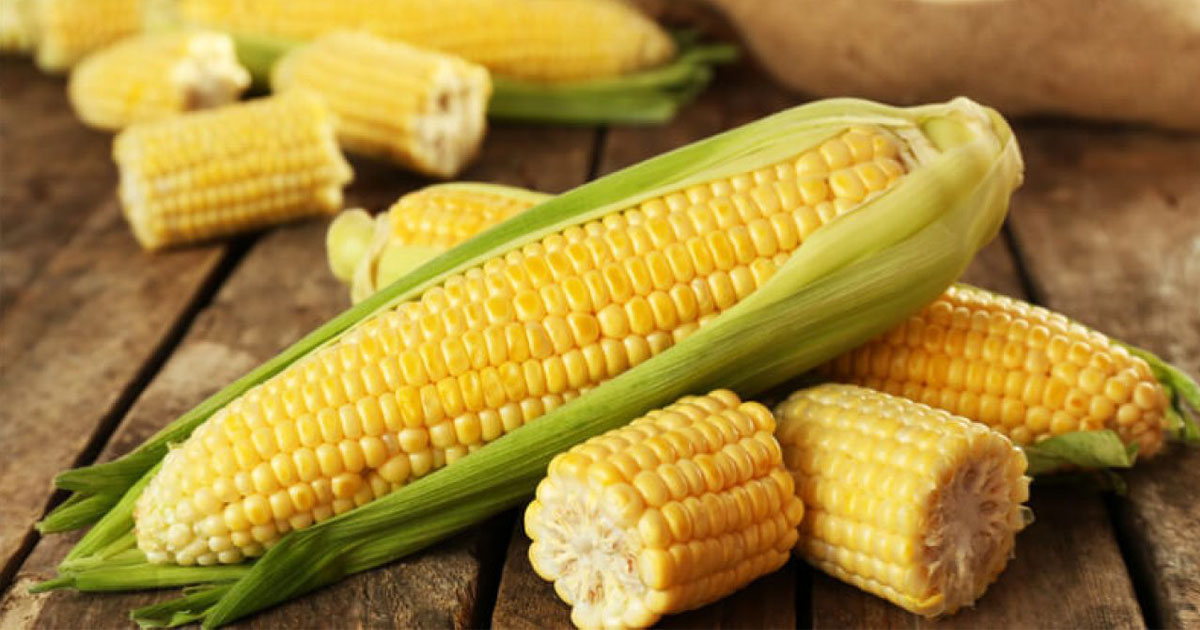 Mẹ bầu ăn bắp có tốt không? 3 mẹ bầu ăn bắp có tốt không