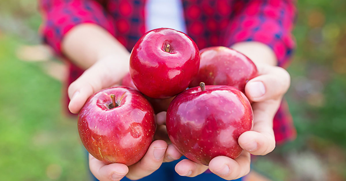 Mẹ Bầu Ăn Táo Đỏ Có Tốt Không? 5 bà bầu ăn táo