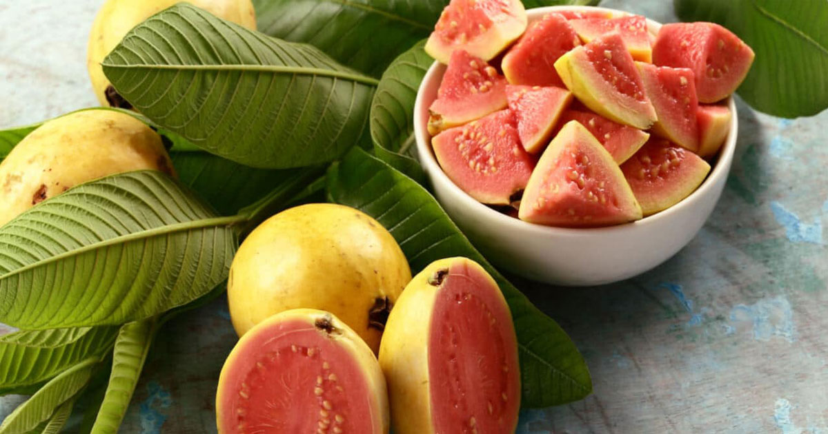 Mẹ Bầu Ăn Ổi Có Tốt Không? 3 mẹ bầu có nên ăn ổi không