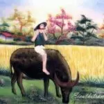 su-tich-cai-not-duoi-co-con-trau-635678