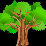 su-tich-cay-chu-dong-667732