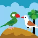 su-tich-chim-quoc-441993