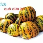 su-tich-dua-bo-496920