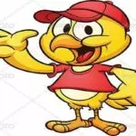 vi-sao-chu-ga-trong-lai-gay-386207