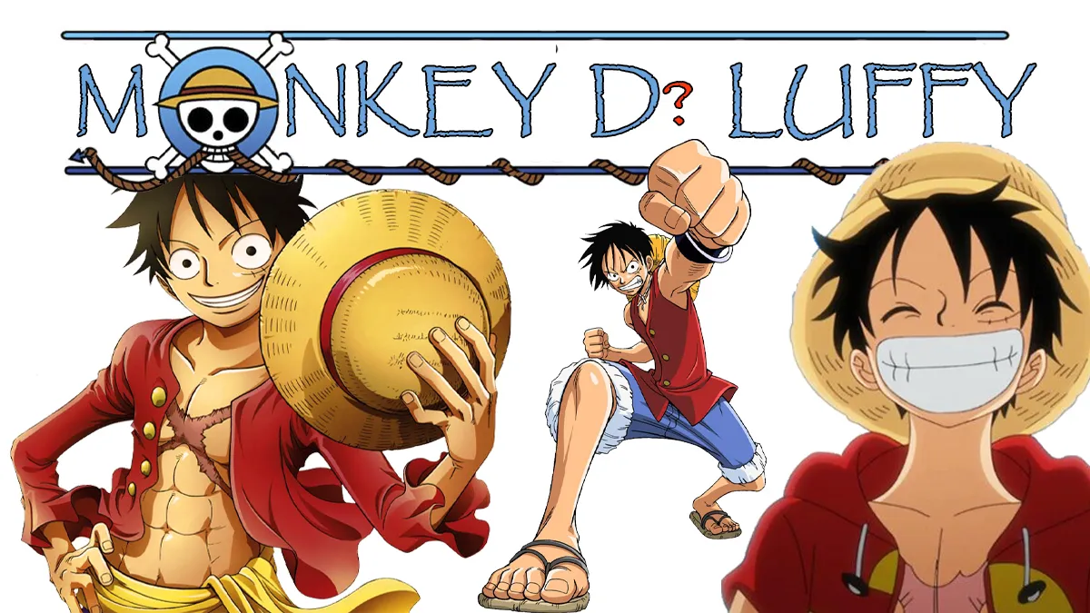 Why Monkey D. Luffy from 'One Piece' Resonates Well in the Anime