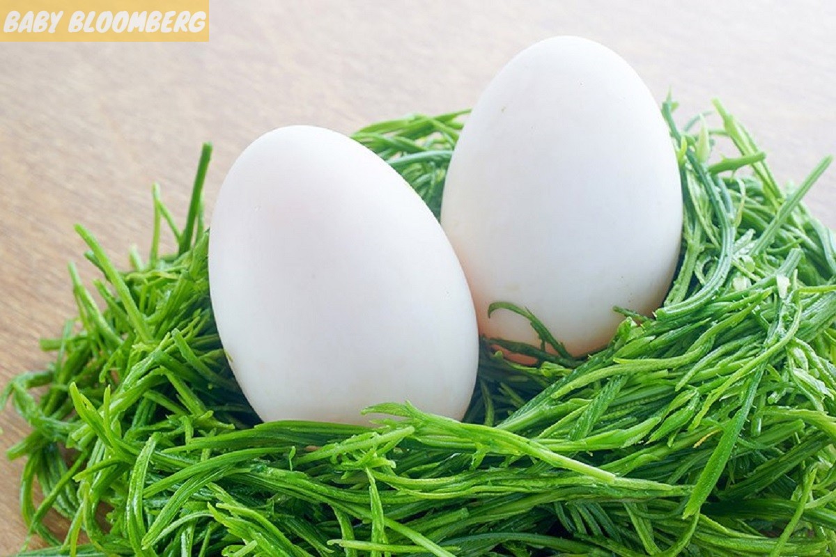 Bà bầu ăn trứng ngỗng và những thông tin cần nắm rõ