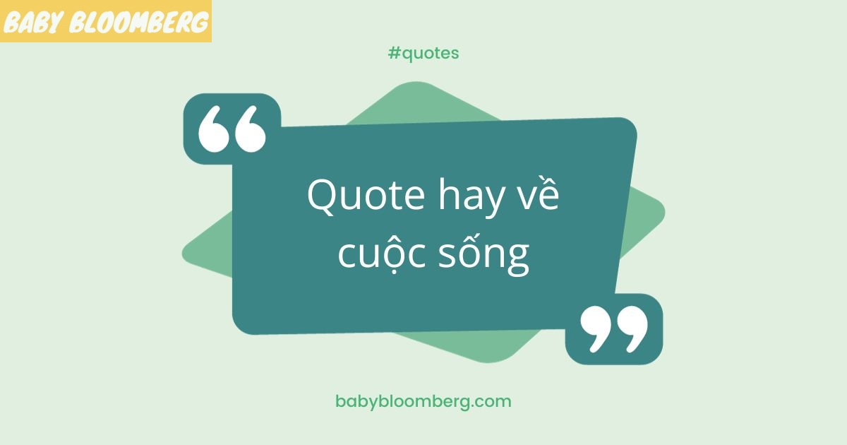 quote hay về cuộc sống