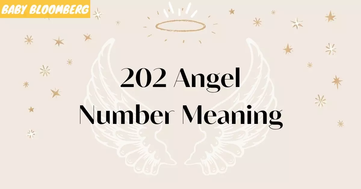 202 Angel Number Meaning